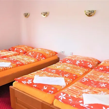 Guest house Kohler Destne v Orlickych horach